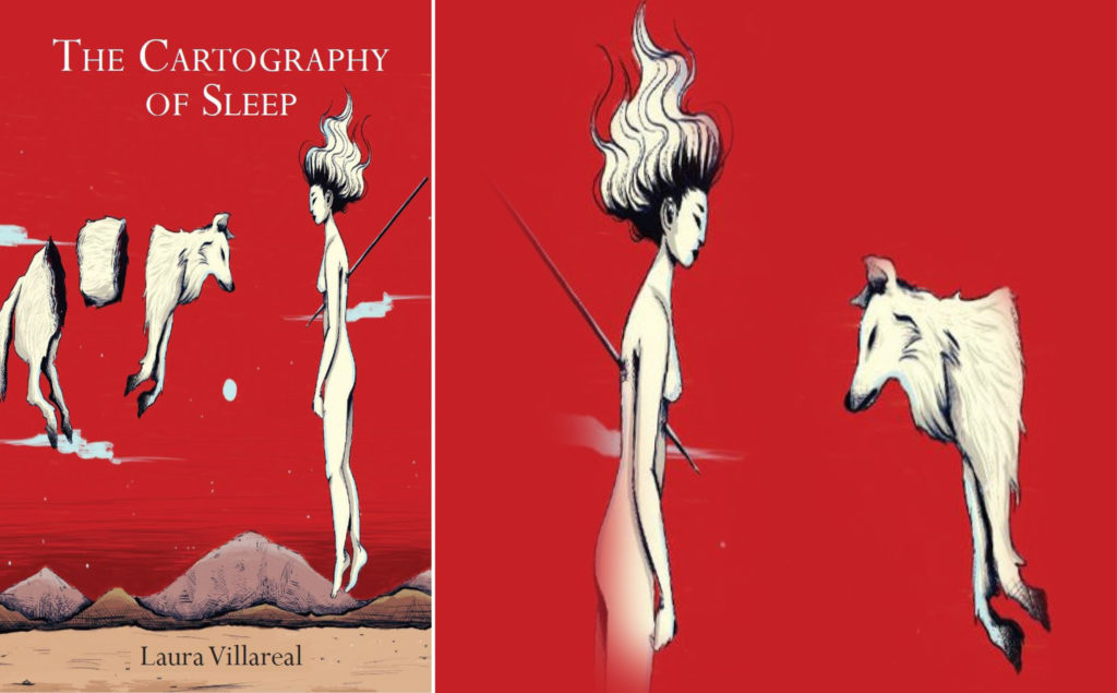 Book cover of The Cartography of Sleep