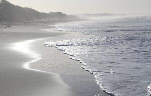 Image of a wave washing up on a beach.