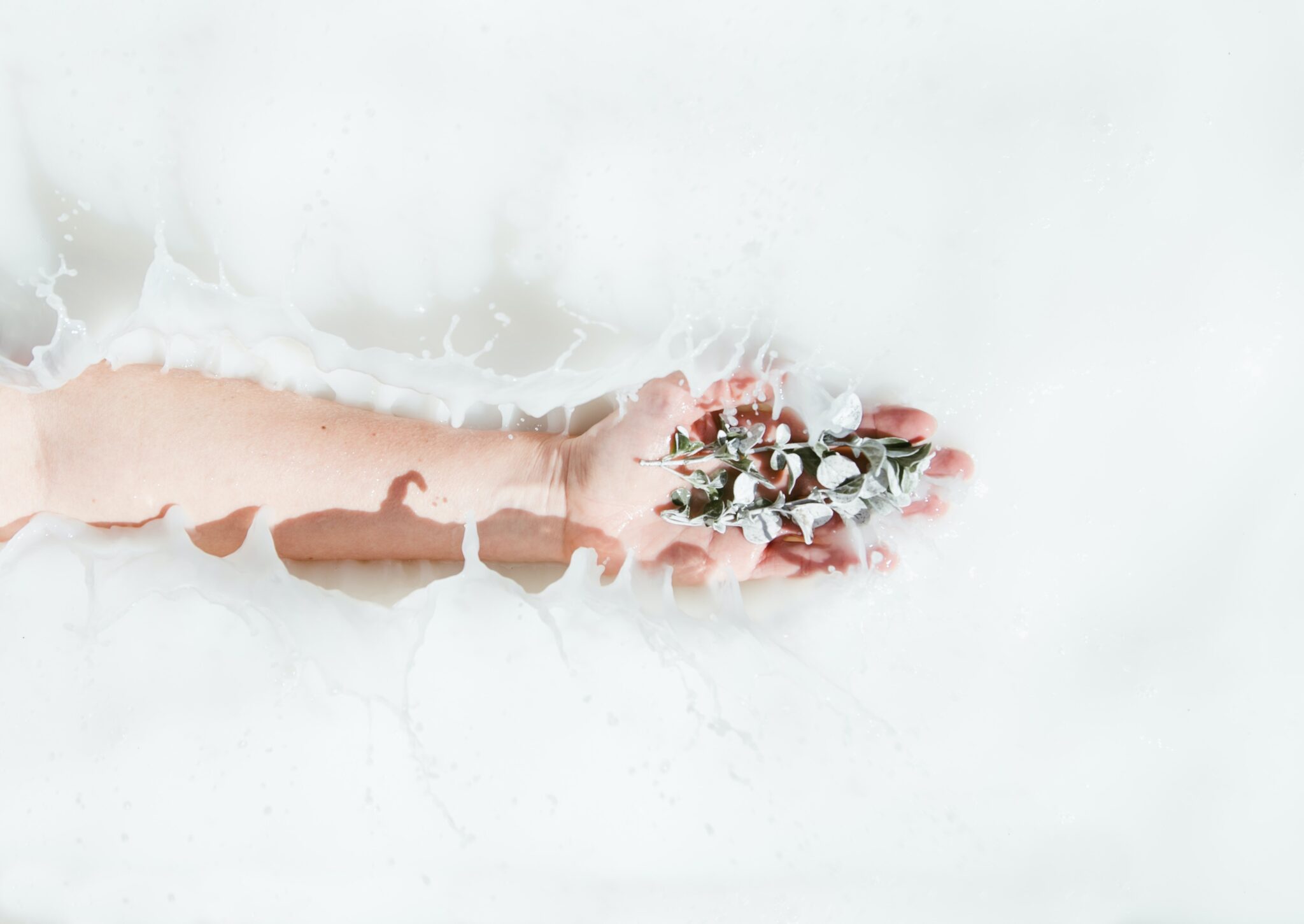 Calf Porter House Review