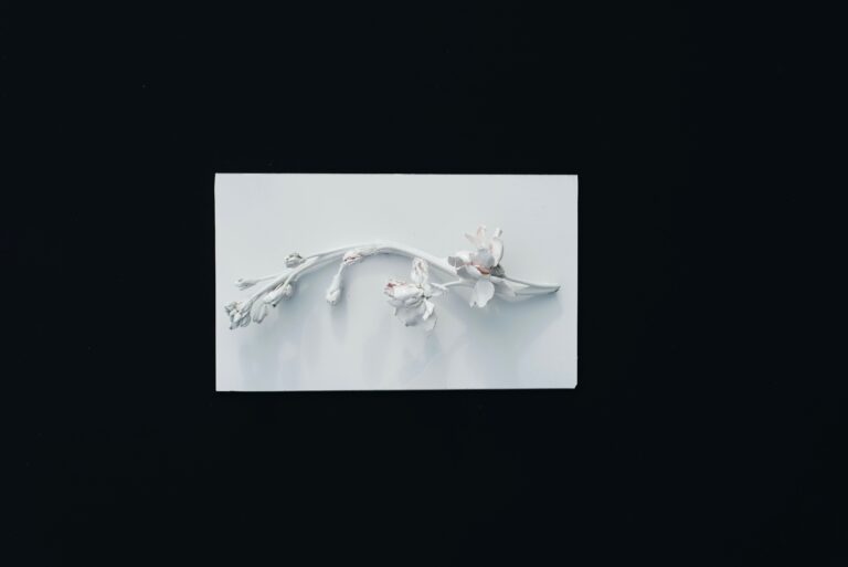 Porter House Review Online Literary Journal