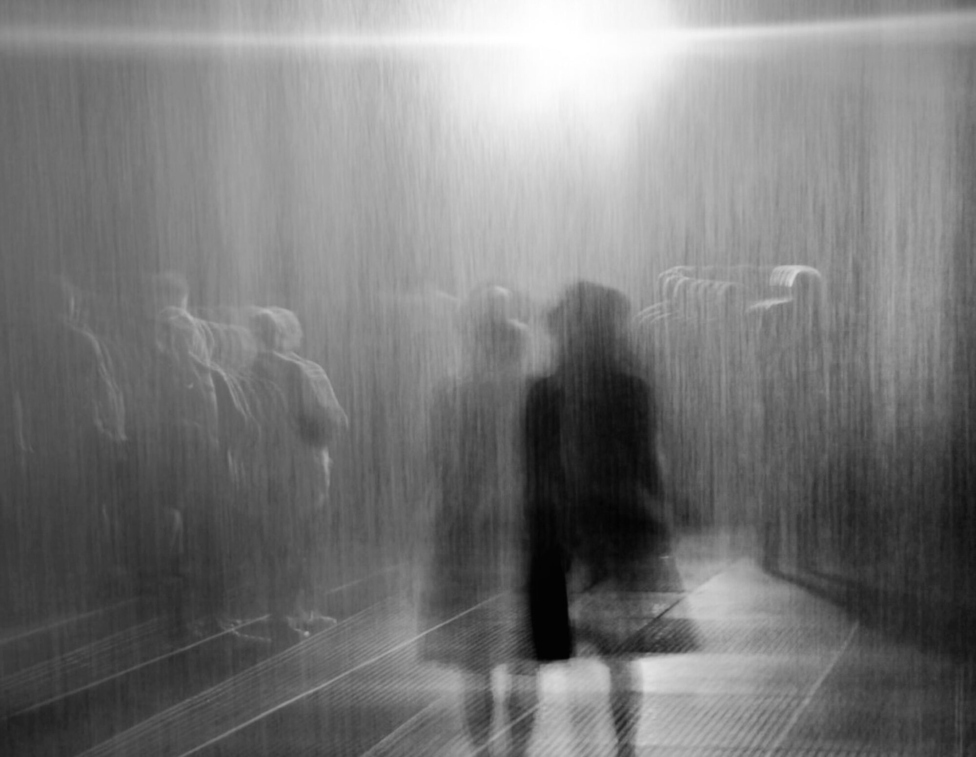 In the Slivers of Doorways Porter House Review